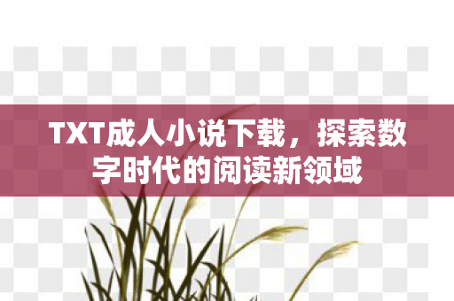 TXT成人小说下载，探索数字时代的阅读新领域