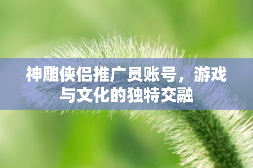 神雕侠侣推广员账号,游戏与文化的独特交融 神雕侠侣推广员账号,游戏与文化的独特交融