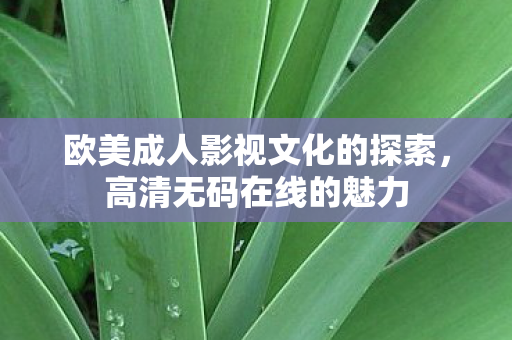 欧美成人影视文化的探索，高清无码在线的魅力