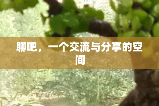 聊吧，一个交流与分享的空间