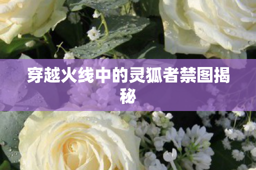 穿越火线中的灵狐者禁图揭秘 穿越火线中的灵狐者禁图揭秘