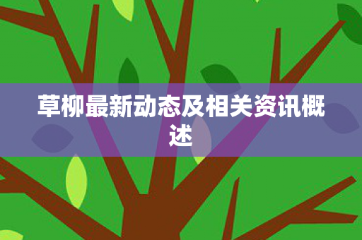 草柳最新动态及相关资讯概述