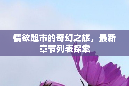 情欲超市的奇幻之旅，最新章节列表探索