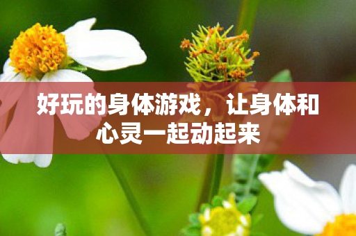 好玩的身体游戏，让身体和心灵一起动起来