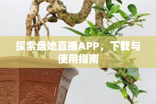 探索盘她直播APP，下载与使用指南