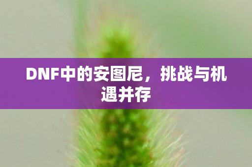 DNF中的安图尼，挑战与机遇并存