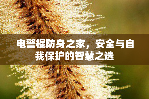 电警棍防身之家，安全与自我保护的智慧之选