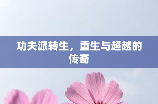 功夫派转生，重生与超越的传奇