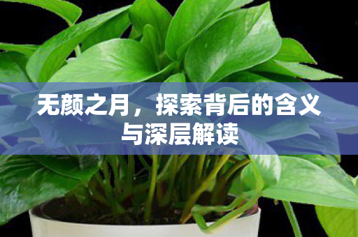 无颜之月，探索背后的含义与深层解读