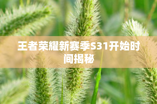 王者荣耀新赛季S31开始时间揭秘