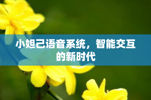 小妲己语音系统，智能交互的新时代