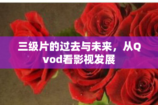 三级片的过去与未来，从Qvod看影视发展