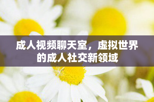 成人视频聊天室,虚拟世界的成人社交新领域 成人视频聊天室,虚拟世界的成人社交新领域