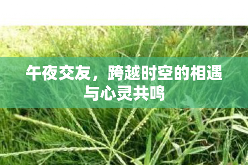 午夜交友，跨越时空的相遇与心灵共鸣