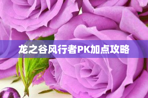 龙之谷风行者PK加点攻略