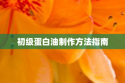 初级蛋白油制作方法指南 初级蛋白油制作方法指南