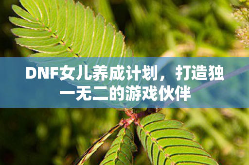 DNF女儿养成计划，打造独一无二的游戏伙伴