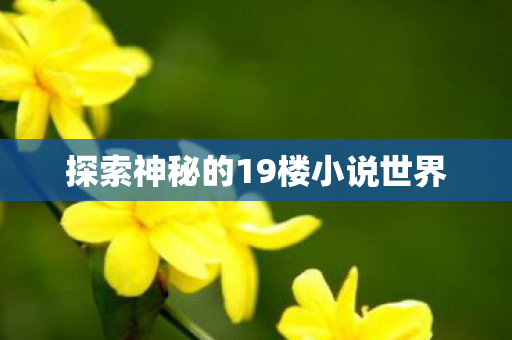 探索神秘的19楼小说世界