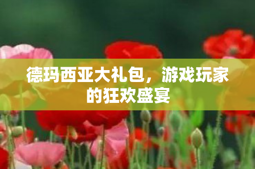 德玛西亚大礼包，游戏玩家的狂欢盛宴