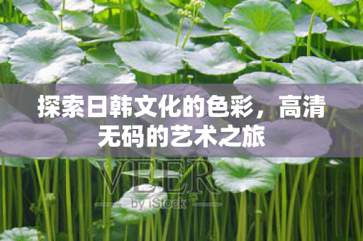 探索日韩文化的色彩，高清无码的艺术之旅