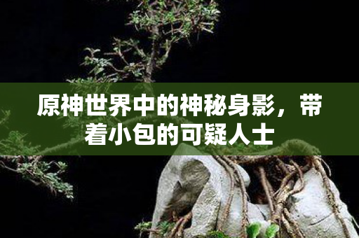 原神世界中的神秘身影，带着小包的可疑人士