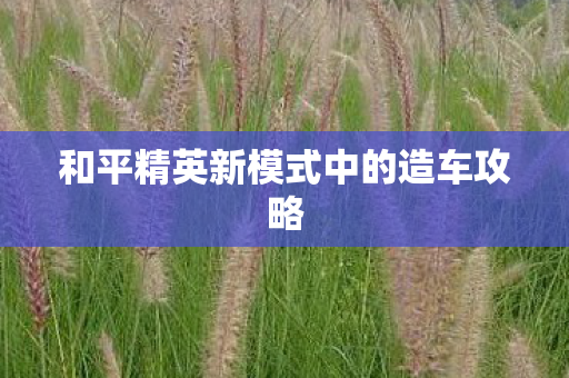 和平精英新模式中的造车攻略