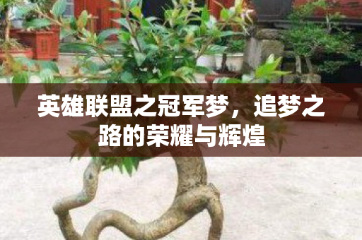 英雄联盟之冠军梦,追梦之路的荣耀与辉煌 英雄联盟之冠军梦,追梦之路的荣耀与辉煌