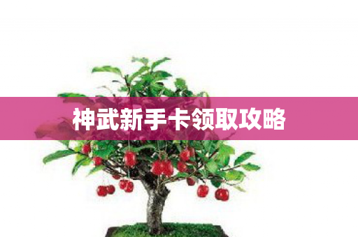 神武新手卡领取攻略