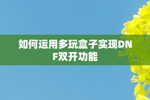如何运用多玩盒子实现DNF双开功能