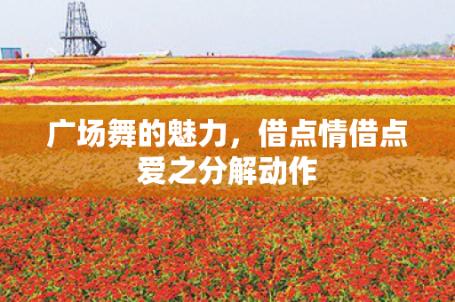 广场舞的魅力，借点情借点爱之分解动作