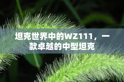 坦克世界中的WZ111，一款卓越的中型坦克