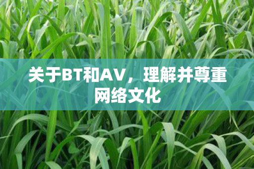 关于BT和AV,理解并尊重网络文化