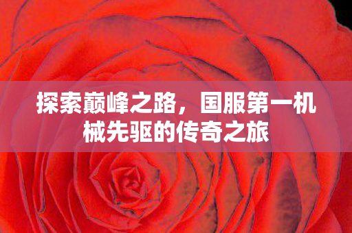 探索巅峰之路，国服第一机械先驱的传奇之旅