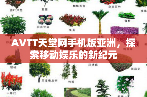 AVTT天堂网手机版亚洲，探索移动娱乐的新纪元