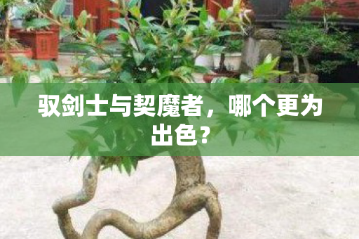 驭剑士与契魔者,哪个更为出色? 驭剑士与契魔者,哪个更为出色?