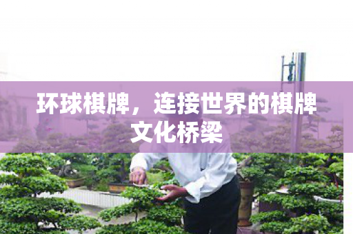 环球棋牌，连接世界的棋牌文化桥梁
