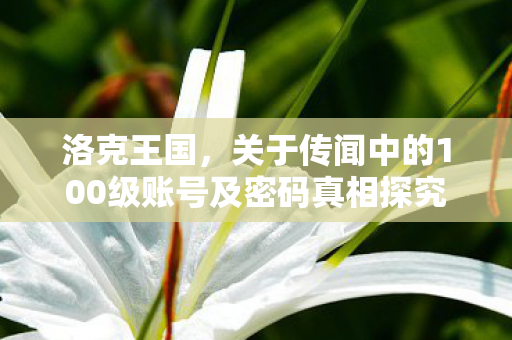 洛克王国，关于传闻中的100级账号及密码真相探究