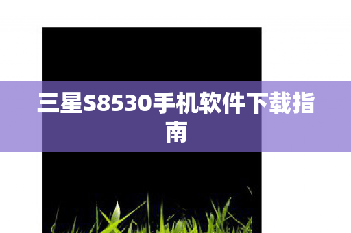三星S8530手机软件下载指南 三星S8530手机软件下载指南