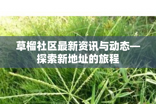 草榴社区最新资讯与动态—探索新地址的旅程