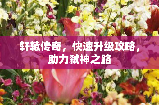 轩辕传奇，快速升级攻略，助力弑神之路