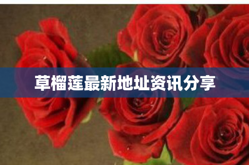 草榴莲最新地址资讯分享 草榴莲最新地址资讯分享