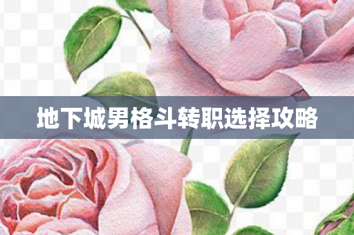 地下城男格斗转职选择攻略 地下城男格斗转职选择攻略