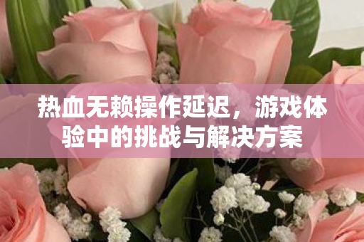 热血无赖操作延迟,游戏体验中的挑战与解决方案 热血无赖操作延迟,游戏体验中的挑战与解决方案