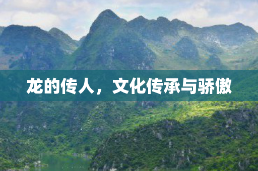 龙的传人,文化传承与骄傲 龙的传人,文化传承与骄傲