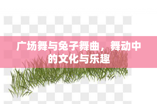 广场舞与兔子舞曲,舞动中的文化与乐趣 广场舞与兔子舞曲,舞动中的文化与乐趣