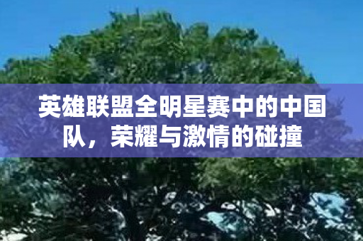 英雄联盟全明星赛中的中国队,荣耀与激情的碰撞 英雄联盟全明星赛中的中国队,荣耀与激情的碰撞