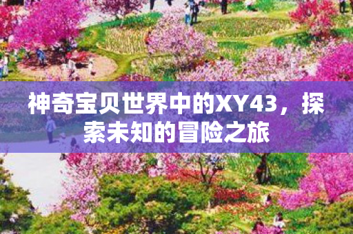 神奇宝贝世界中的XY43，探索未知的冒险之旅