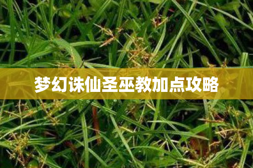 梦幻诛仙圣巫教加点攻略