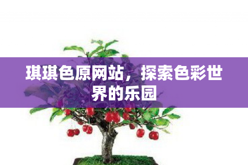 琪琪色原网站,探索色彩世界的乐园 琪琪色原网站,探索色彩世界的乐园