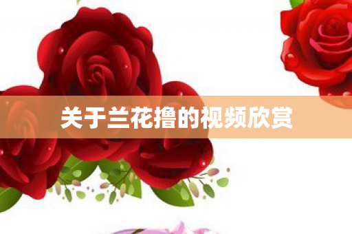 关于兰花撸的视频欣赏 关于兰花撸的视频欣赏